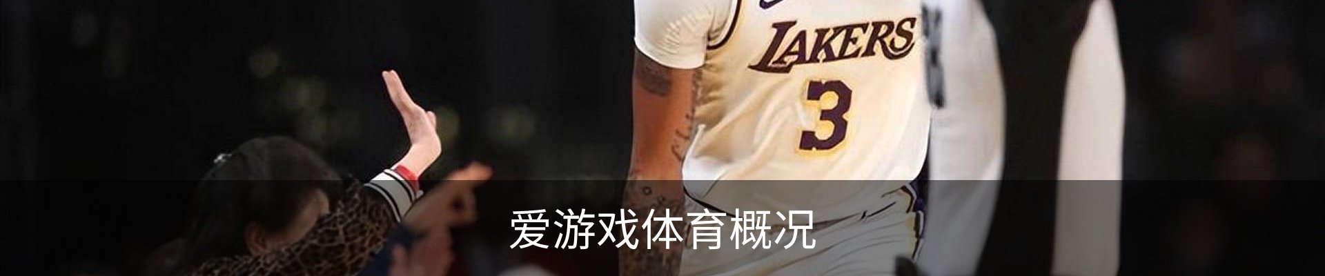 爱游戏体育概况